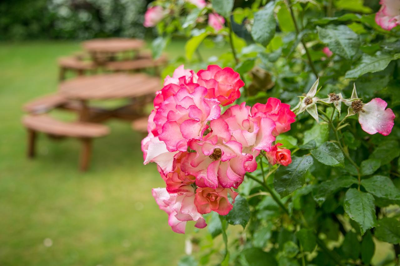Beechwood Close York Esterno foto